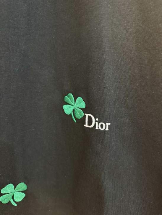 Dior T Shirts Short _SKUDiorS-XLlzytx013315732